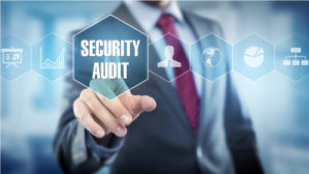 Statutory Audit