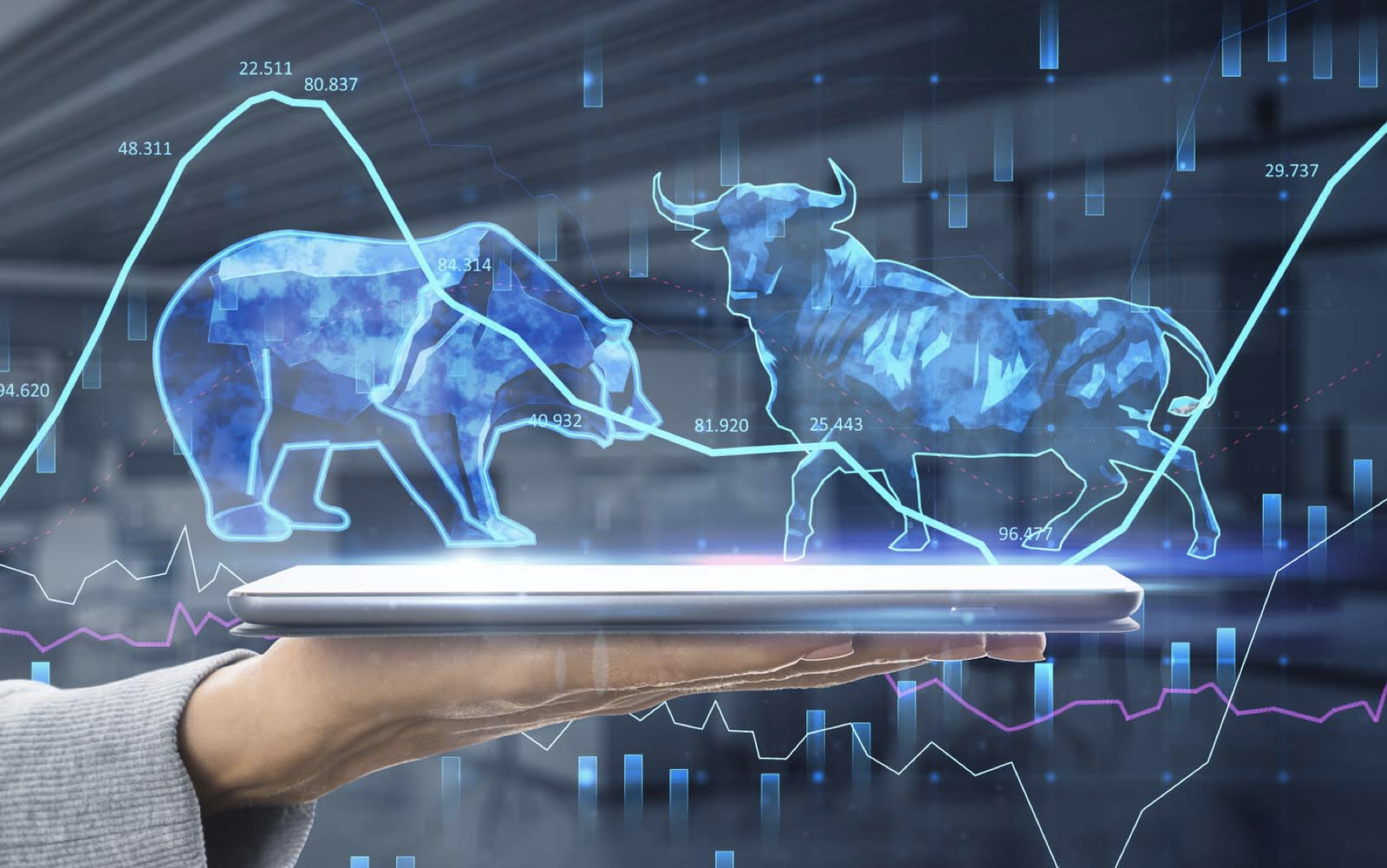 IPO Readiness