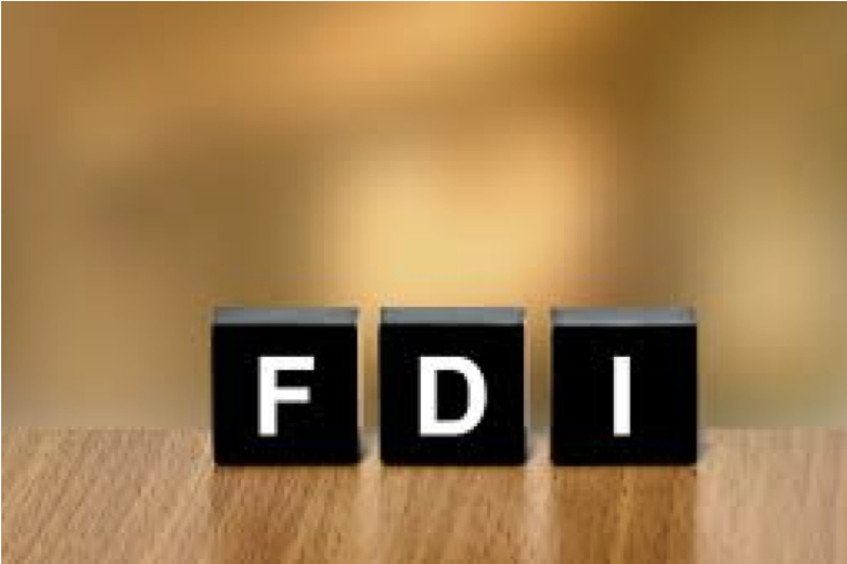 FDI (Foreign Direct Investment)